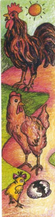 Childrensillustrationchickens